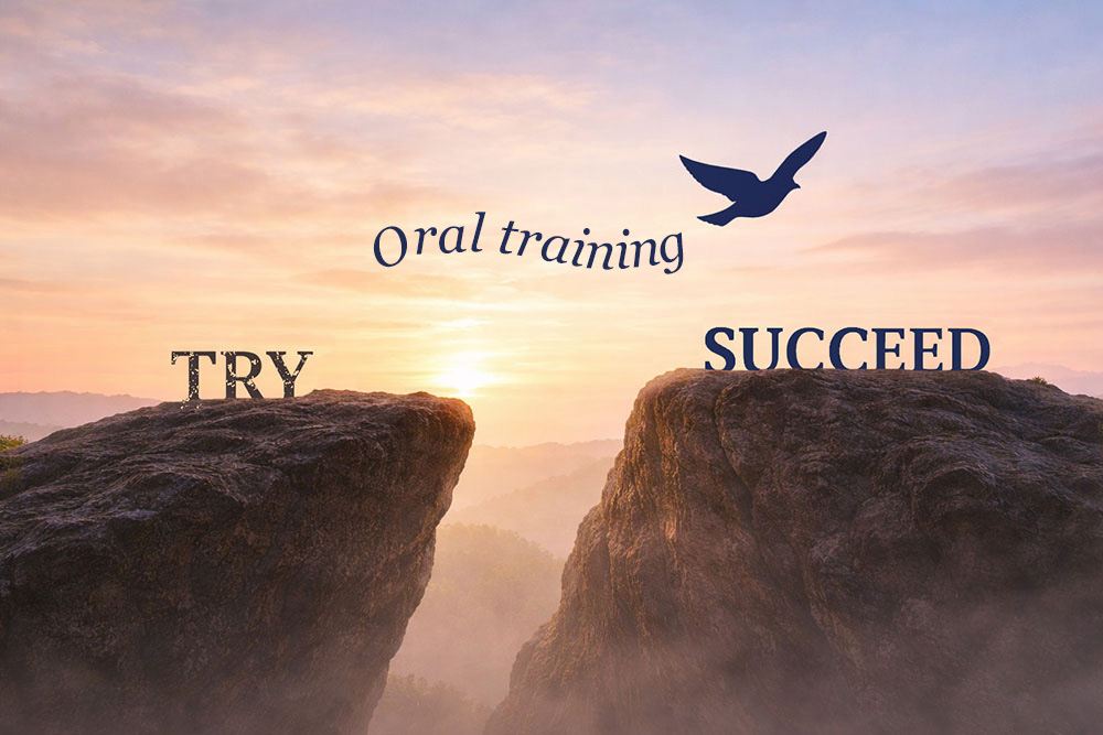 Partir du mot TRY sur un rocher à gauche pour arriver au mot SUCCEED sur un rocher à droite, en suivant l'oiseau symbole de EasySpeaking qui traine dans son sillage ORAL TRAINING pour symboliser la progression des apprenants